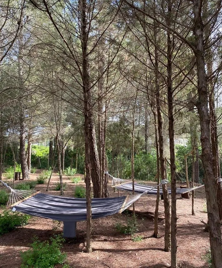 Villa Can Pep De Sa Guaita Amaizing Design & Outdoor Area 10 Minutes From Beaches Calm Area 伊维萨镇